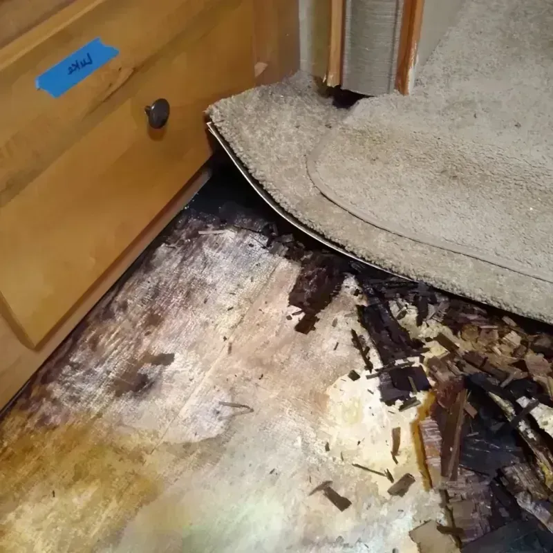 Best Wood Floor Water Damage Service in North Prairie, WI